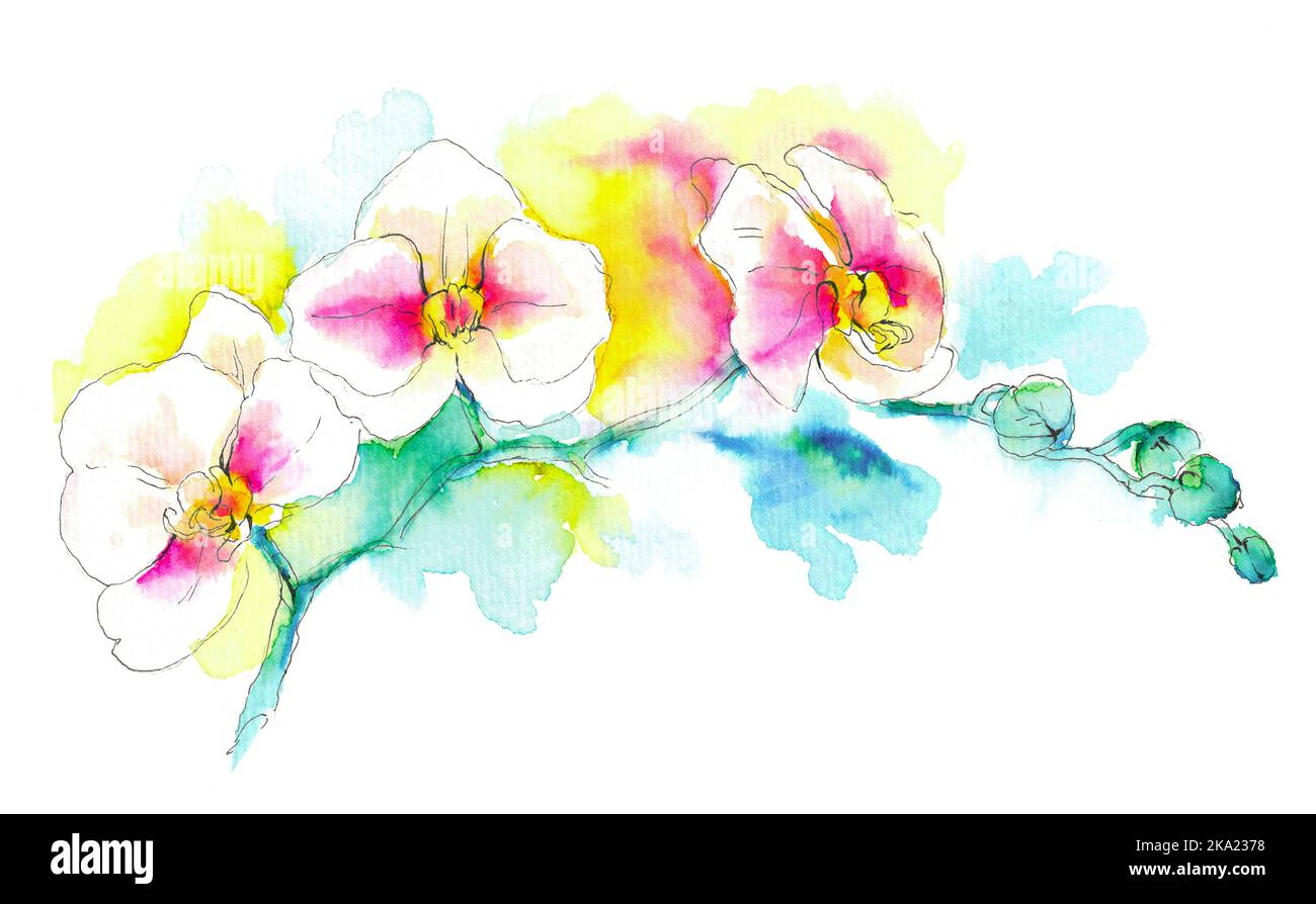 Branche d'orchidées blanc-rose. Illustration fleurie dessinée à la main avec texture en papier. Aquarelle et encre brillantes. Isolé sur fond blanc. Banque D'Images