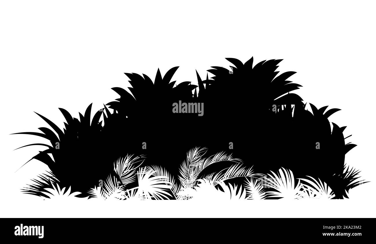 Herbe haute. Jungle forêt tropicale. Silhouette de paysage de la nature. Épaississement tropical dense. Isolé sur fond blanc. Vecteur Illustration de Vecteur Herbe haute. Jungle forêt tropicale. Silhouette de paysage de la nature. Épaississement tropical dense. Isolé sur fond blanc. Vecteur Illustration de Vecteur