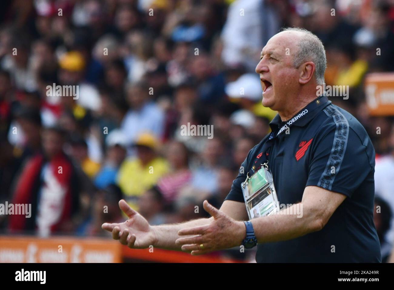 GUAYAQUIL, EQUADOR, 29.10.2022 - Técnico Luiz Felipe Scolari do Athletico, durante a partida entre Flammento e Athletico, Pela final da Copa Libertadores 2022, no Estádio Monidro Romero Carbo neste sábado 29. Foto: Ariel Ochoa/API/DiaEsportivo/Pressinophoto Banque D'Images