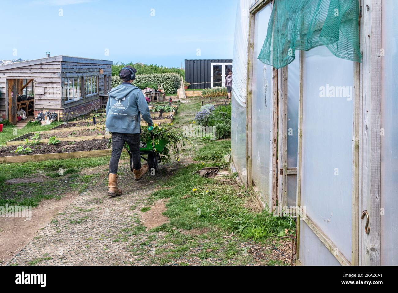 Un bénévole de Newquay Orchard travaillant dans l'espace de croissance communautaire de Newquay Orchard un espace créé par la communauté pour la communauté de Newquay in Banque D'Images