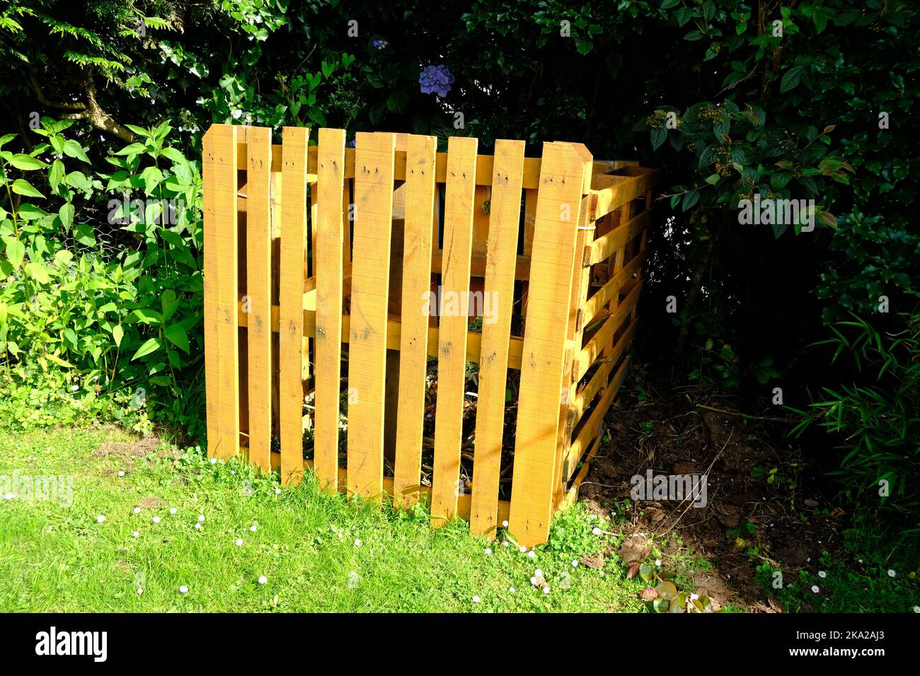 Bac à compost de jardin fait maison fait de palettes en bois - John Gollop Banque D'Images