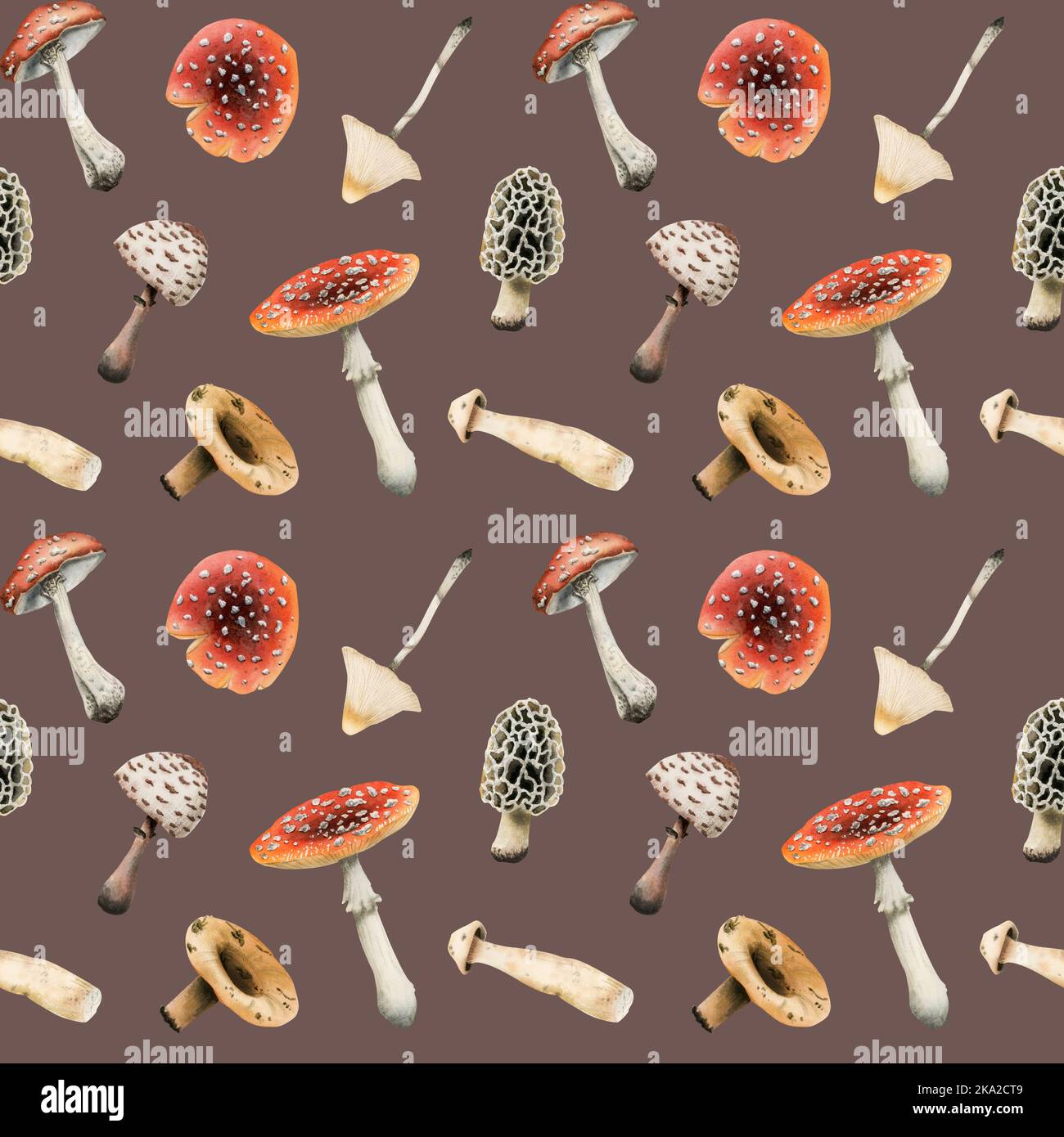 Motif sans couture avec champignons aquarelle. amanita tirée à la main, mouche agarique sur le rose crépuscule, brun rouge, toxique. Idéal pour le papier d'emballage d'automne Banque D'Images