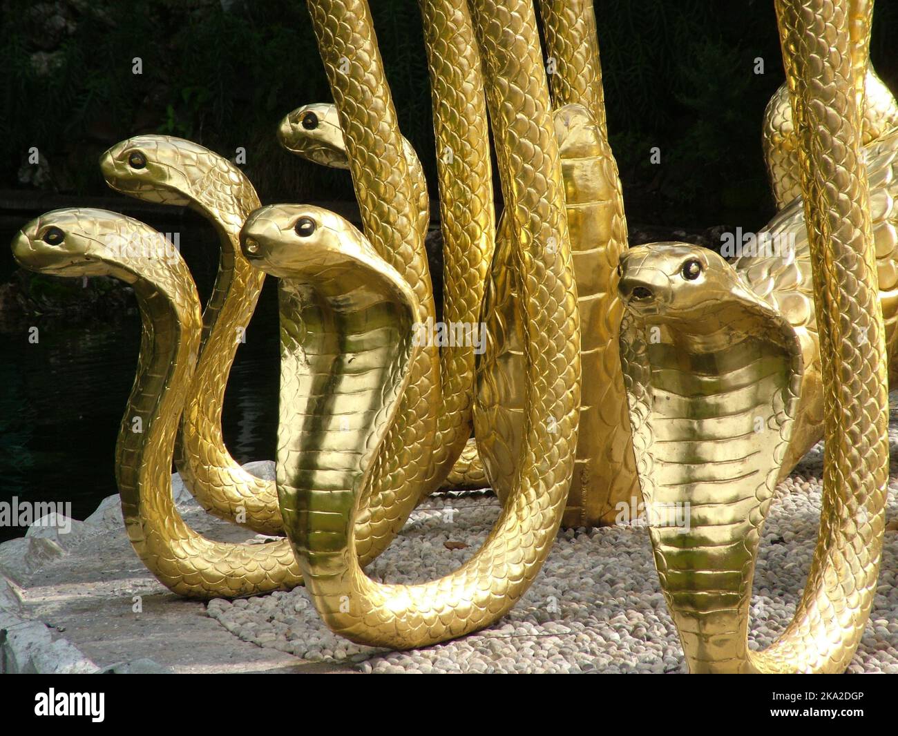 Un gros plan de statues de serpents Cobra du roi d'or Banque D'Images