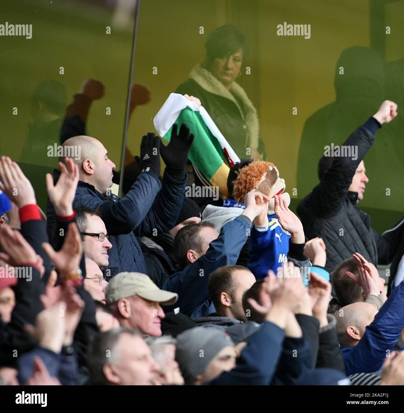 2nd février 2013 - Npower Championship football - Wolverhampton Wanderers vs. Cardiff City - Un fan de Wolverhampton Wanderers regarde depuis une boîte de prestige pendant que les fans de Cardiff City célèbrent leurs côtés 1-2 gagner - photo: Paul Roberts/Pathos. Banque D'Images