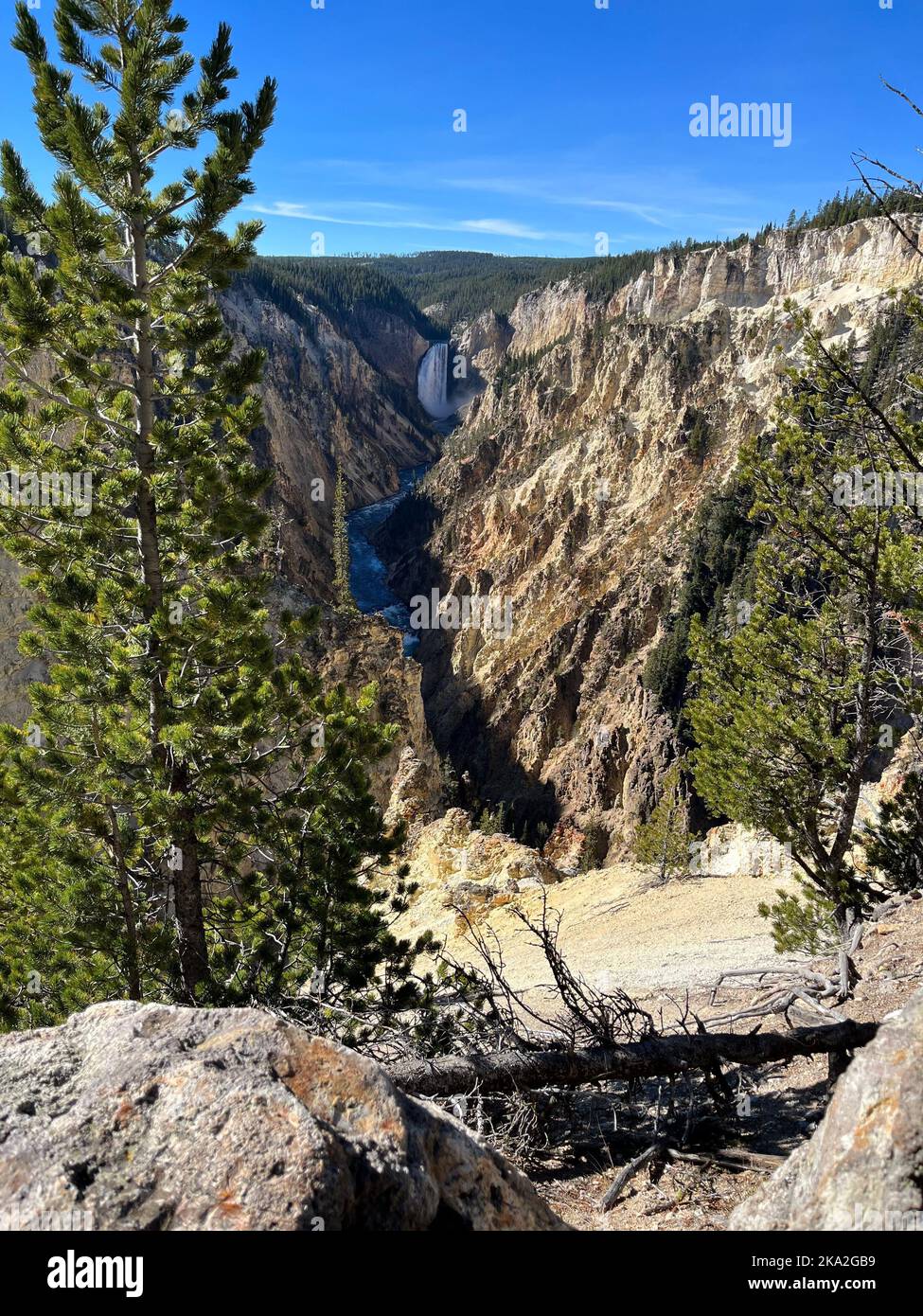 Une photo verticale des chutes inférieures dans le Grand Canyon de Yellowstone depuis Artist point Banque D'Images