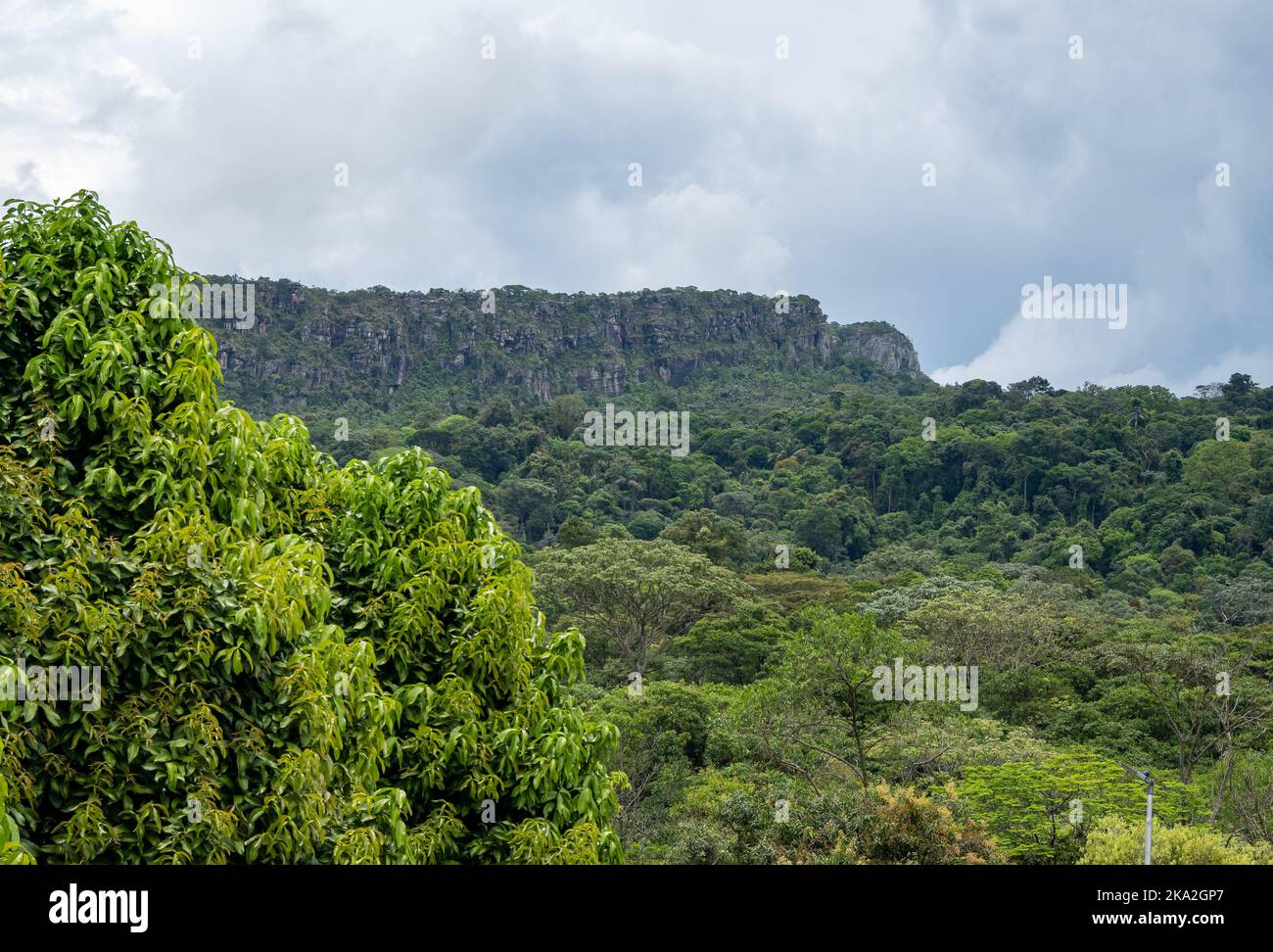 Les montagnes à sommet plat de Tepui sont composées de grès de quartz précambrien. Tepequem, Etat de Roraima, Brésil. Banque D'Images