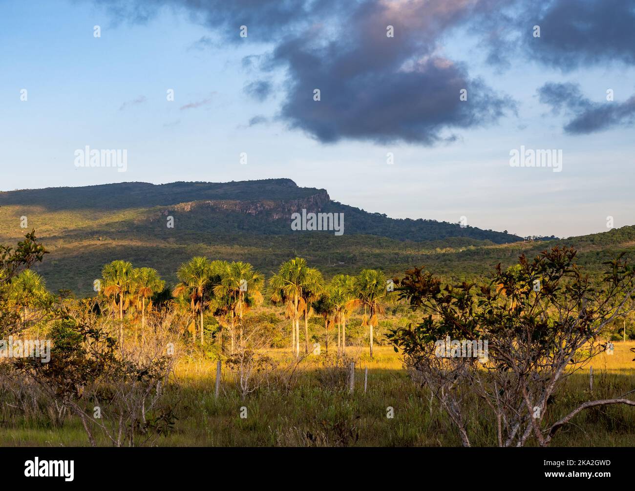 Les montagnes à sommet plat de Tepui sont composées de grès de quartz précambrien. Tepequem, Etat de Roraima, Brésil. Banque D'Images
