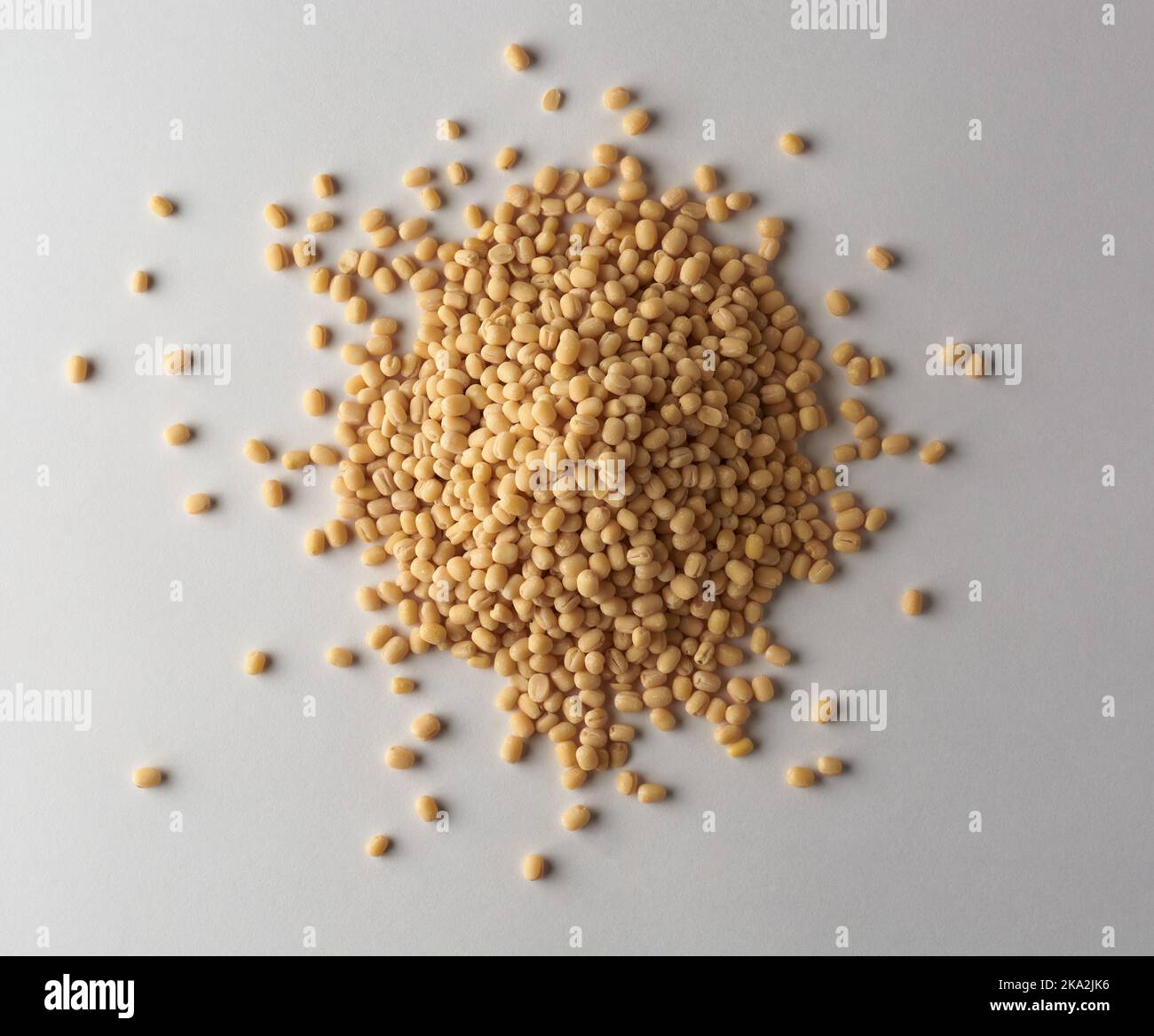 pile d'urad blanc poli organique isolé sur fond gris neutre, vigna mungo, également connu sous le nom d'ulundu paruppu, ou haricot urad ou mash kalai Banque D'Images