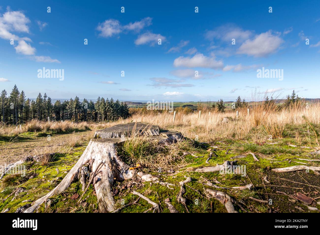 Beacon est tombé dans le Lancashire, au Royaume-Uni Banque D'Images