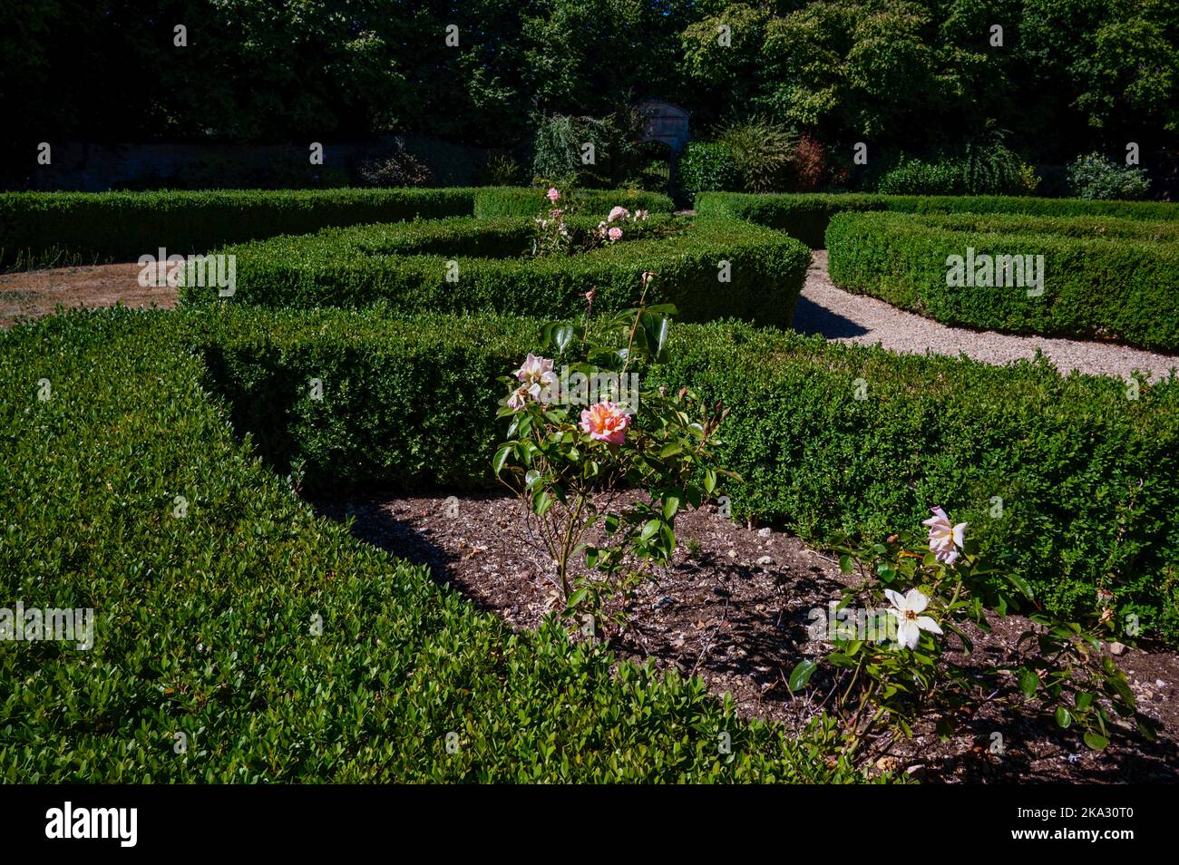 Pittoresque Oxford sur la Tamise Banque D'Images