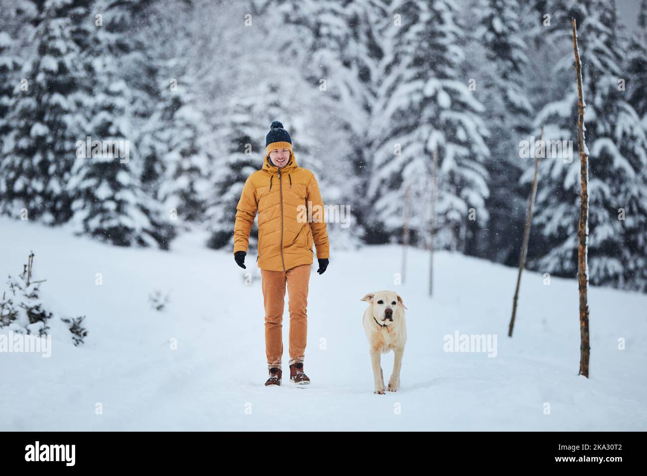 Homme avec chien pendant la journée d'hiver. Le propriétaire d'un animal de compagnie marchant sur un sentier enneigé avec son fidèle labrador retriever contre la forêt. Banque D'Images