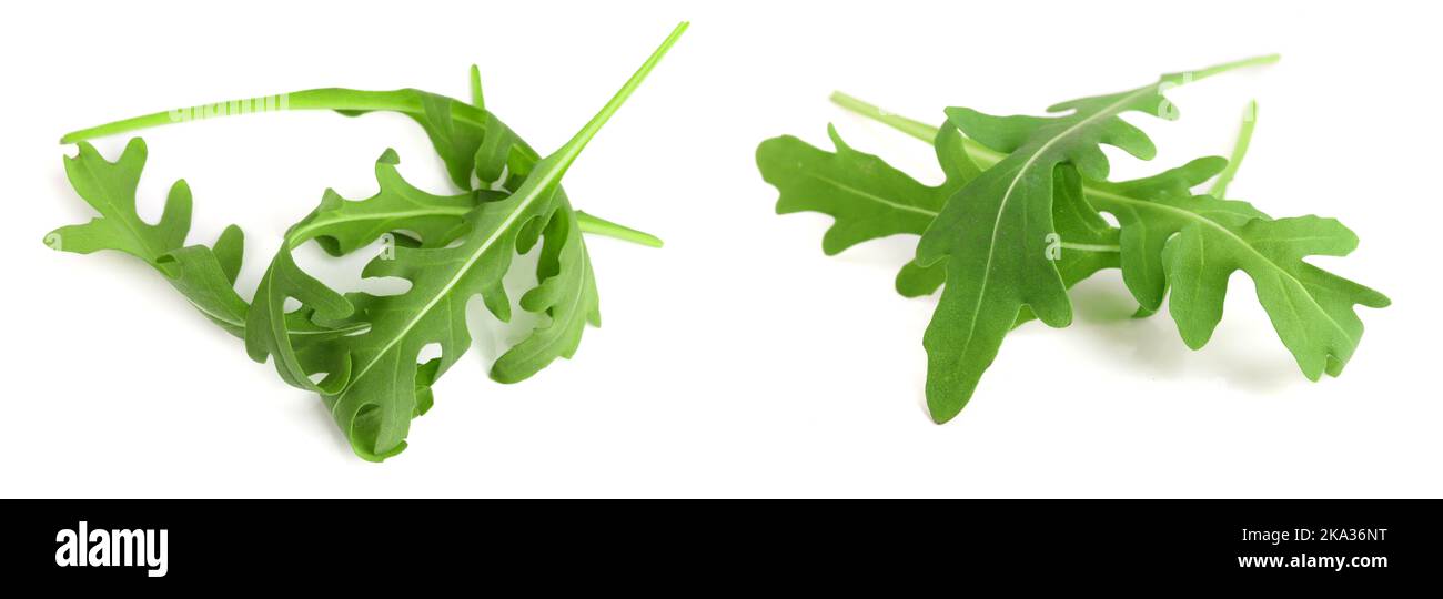 Tas de feuilles de rucola ou d'arugula fraîches vertes isolées sur fond blanc Banque D'Images