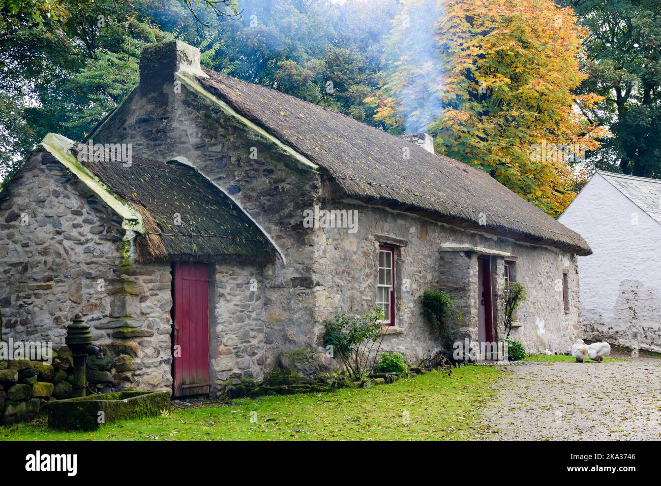 Petite maison de chaume irlandaise de trois pièces, commune aux petits agriculteurs du 1800s 19th siècle Banque D'Images