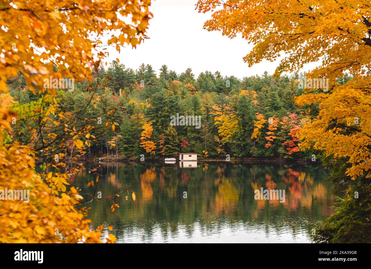 Vue sur un hangar à bateaux sur un lac calme à travers les arbres le jour de l'automne. Banque D'Images