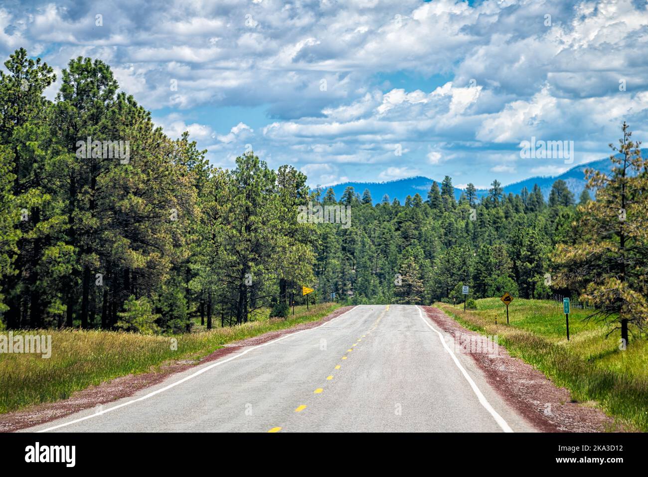 Carson National Forest Highway 75 à Penasco, Nouveau-Mexique avec les montagnes Sangre de Cristo en arrière-plan, pins verts d'été sur la route de Taos Banque D'Images