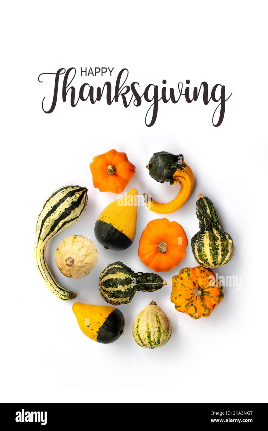 Carte Happy Thanksgiving, collection de gourdes isolées sur fond blanc Banque D'Images