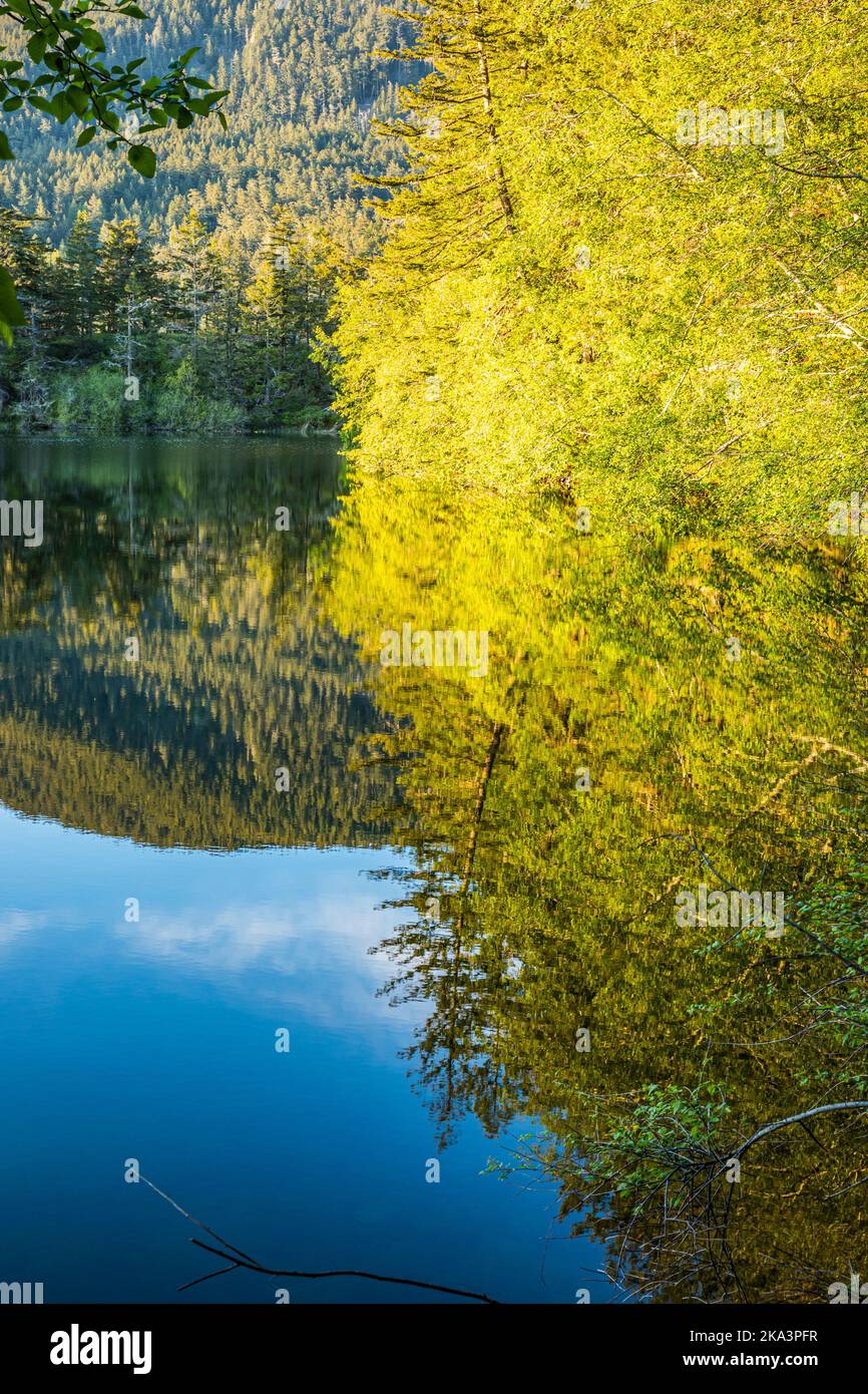 Lac Cascade dans le parc national de Moran reflétant la lumière de la fin de l'après-midi sur les arbres et les montagnes au-dessus. Banque D'Images