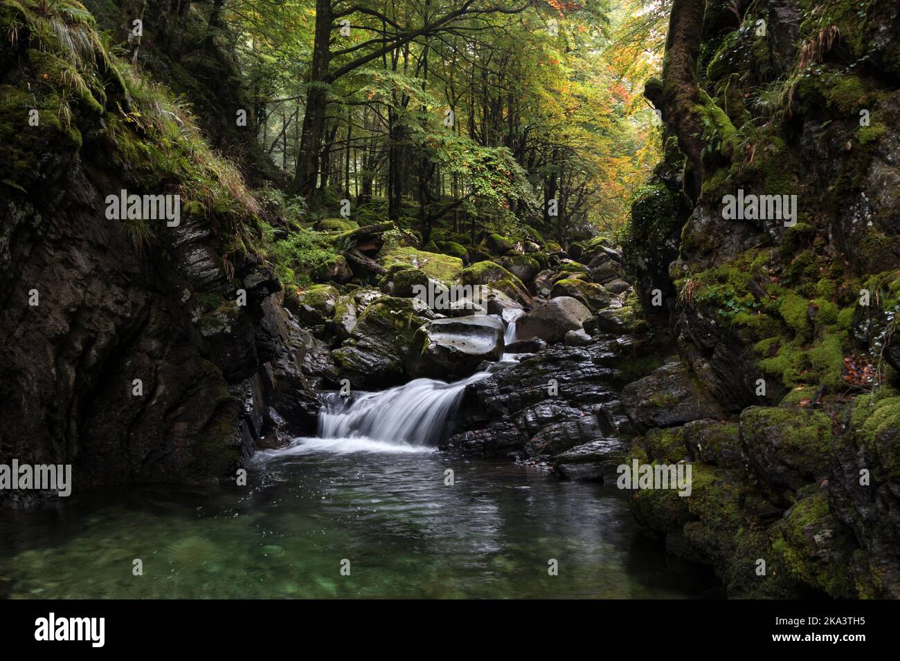 Petite cascade sur le sentier menant à la Cascade d'Ars, Aulus les bains, Ariège, Pyrénées, France, UE Banque D'Images