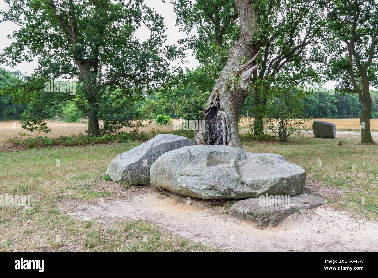 Dolmen D22, Steenakkerweg Bronneger, municipalité de Borger-Odoorn dans la province néerlandaise de Drenthe est un tombeau néolithique et un monum historique protégé Banque D'Images