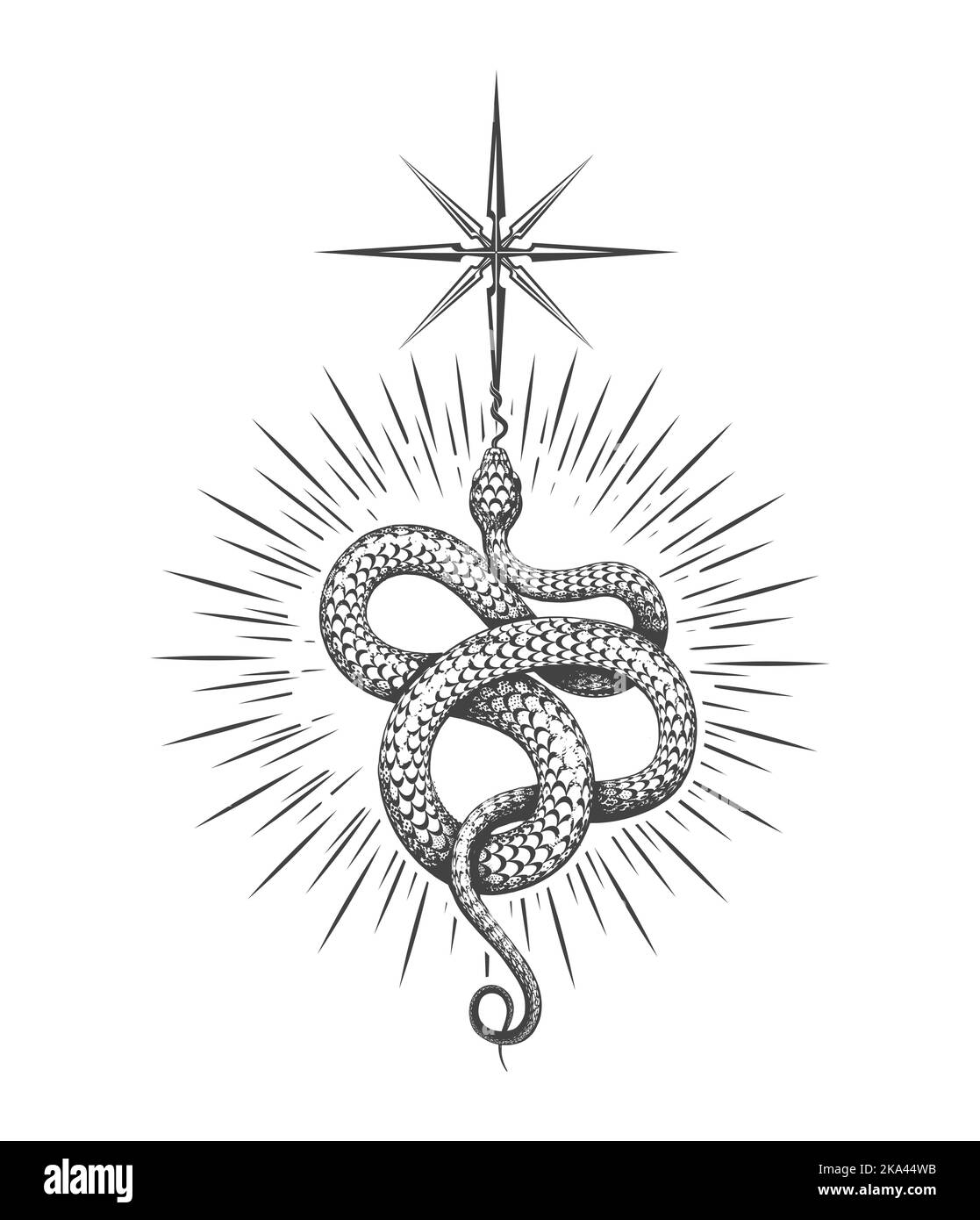 Serpent symbole de la sagesse Tattoo ésotérique isolé sur blanc. Illustration vectorielle. Illustration de Vecteur
