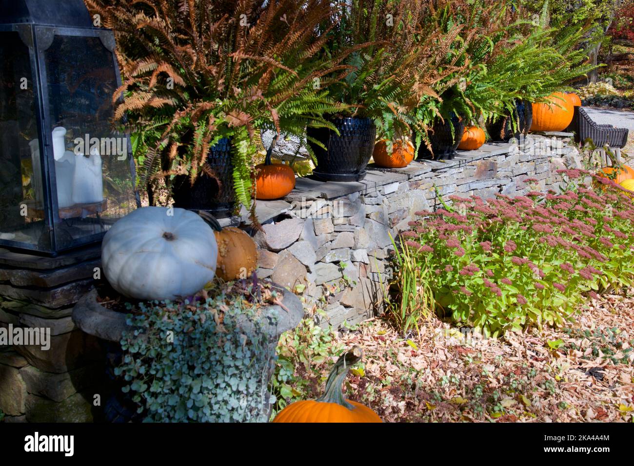 Décoration de citrouille pour les fêtes d'Halloween Banque D'Images