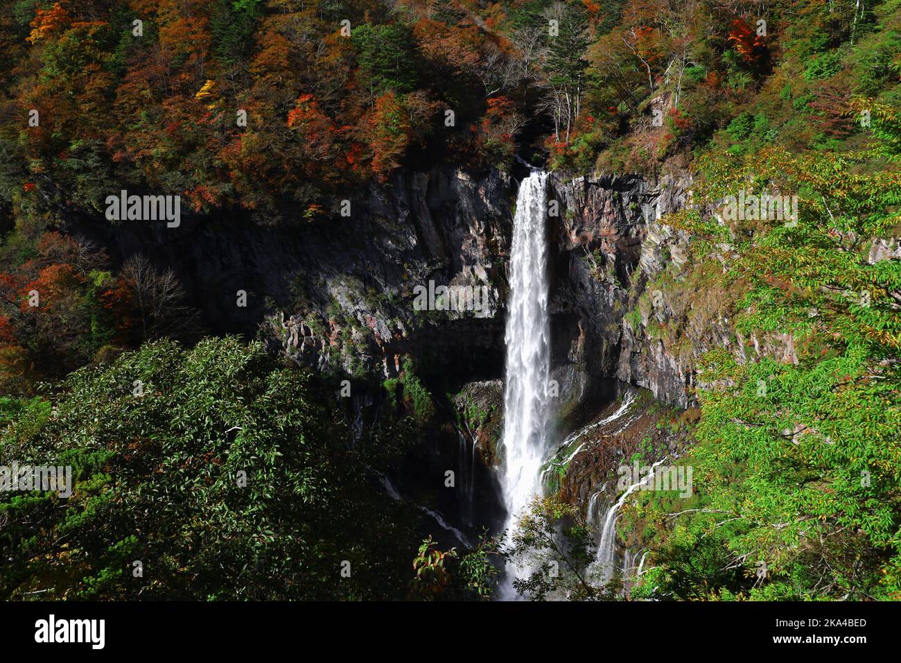 Magnifique paysage des chutes de Nikko Kegon au Japon en automne, saison des feuilles Banque D'Images