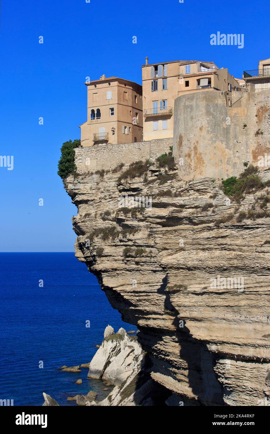 La citadelle de Bonifacio, située sur une falaise, perchée au-dessus de la mer Méditerranée à Bonifacio (Corse-du-Sud), sur l'île de Corse, en France Banque D'Images