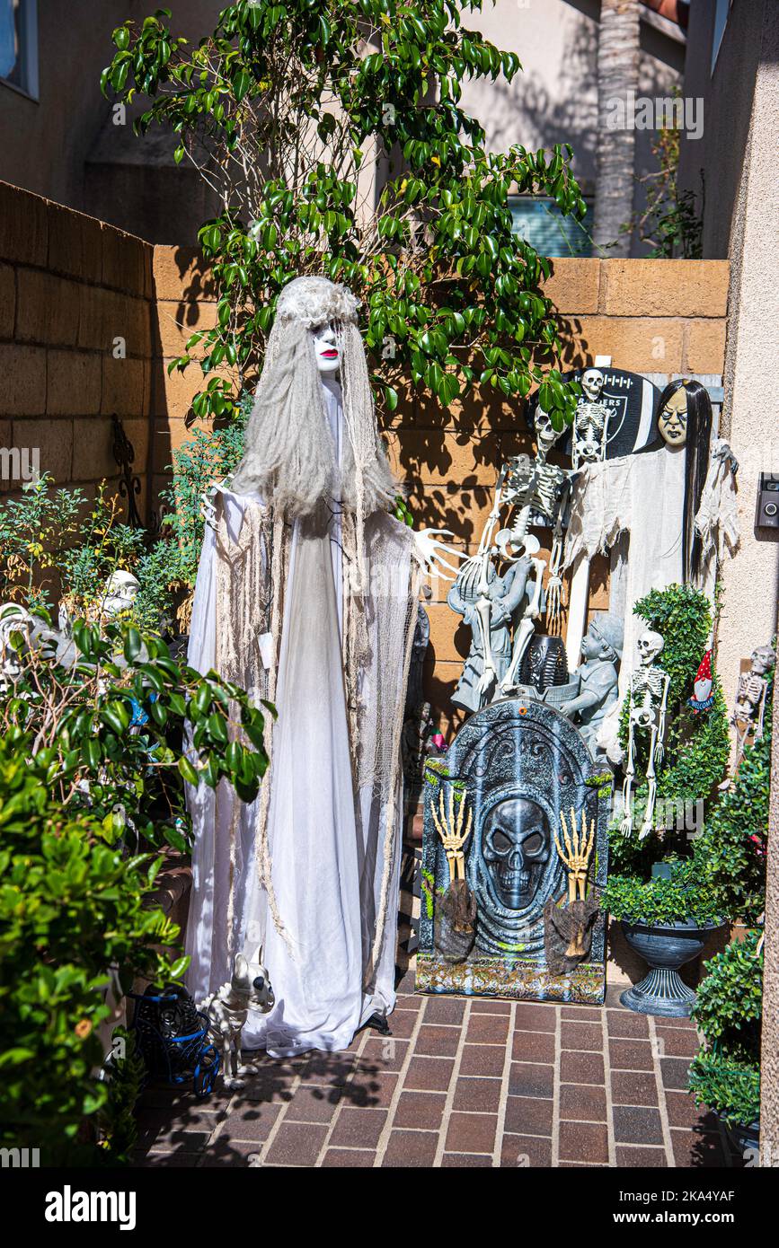 Un groupe de décorations d'Halloween comprenant une mariée de crâne et diverses autres bizarreries d'Halloween. Banque D'Images