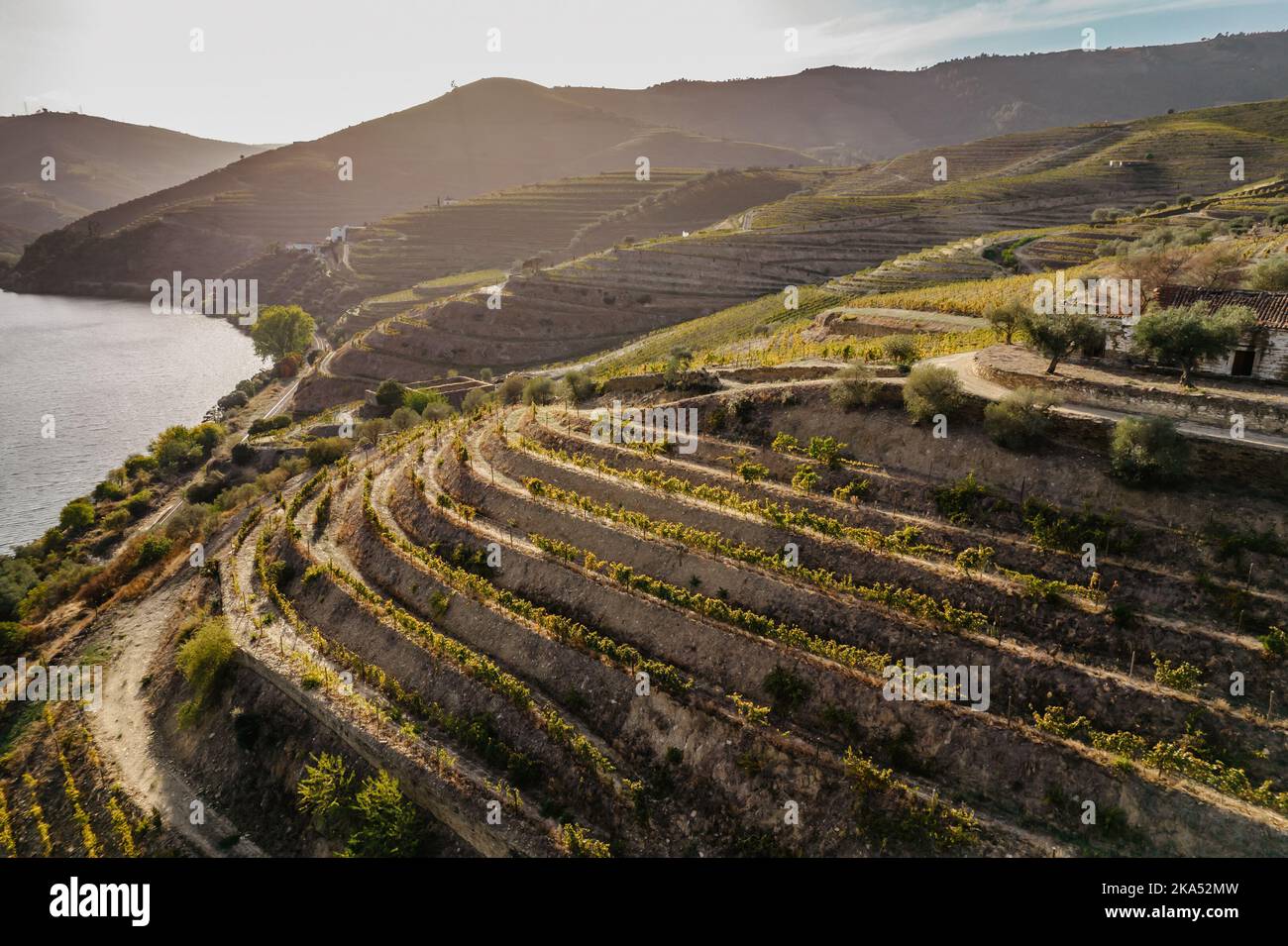 Vue aérienne de la vallée du Douro. Vignobles en terrasse et paysage près de Pinhao, Portugal. Région viticole portugaise. Beau paysage d'automne.Voyage concept Banque D'Images