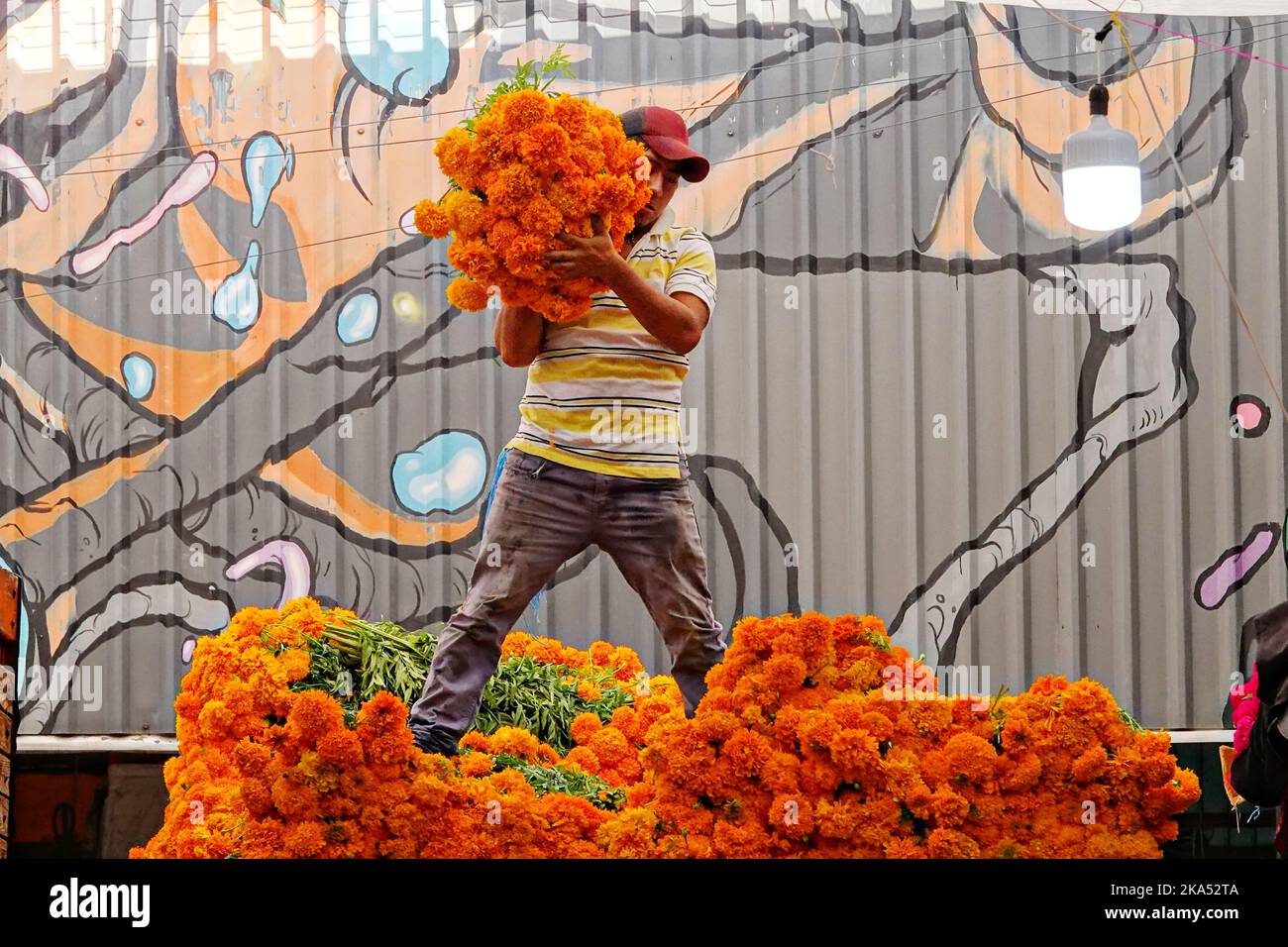 Mexico, Mexique. 31st octobre 2022. Les travailleurs déchargent des lots de fleurs de cempasuchil, la traditionnelle journée de la fleur morte utilisée pour décorer les autels et les tombes pendant le festival annuel au marché aux fleurs de la Jamaïque, 31 octobre 2022 à Mexico, Mexique. Crédit : Richard Ellis/Richard Ellis/Alay Live News Banque D'Images