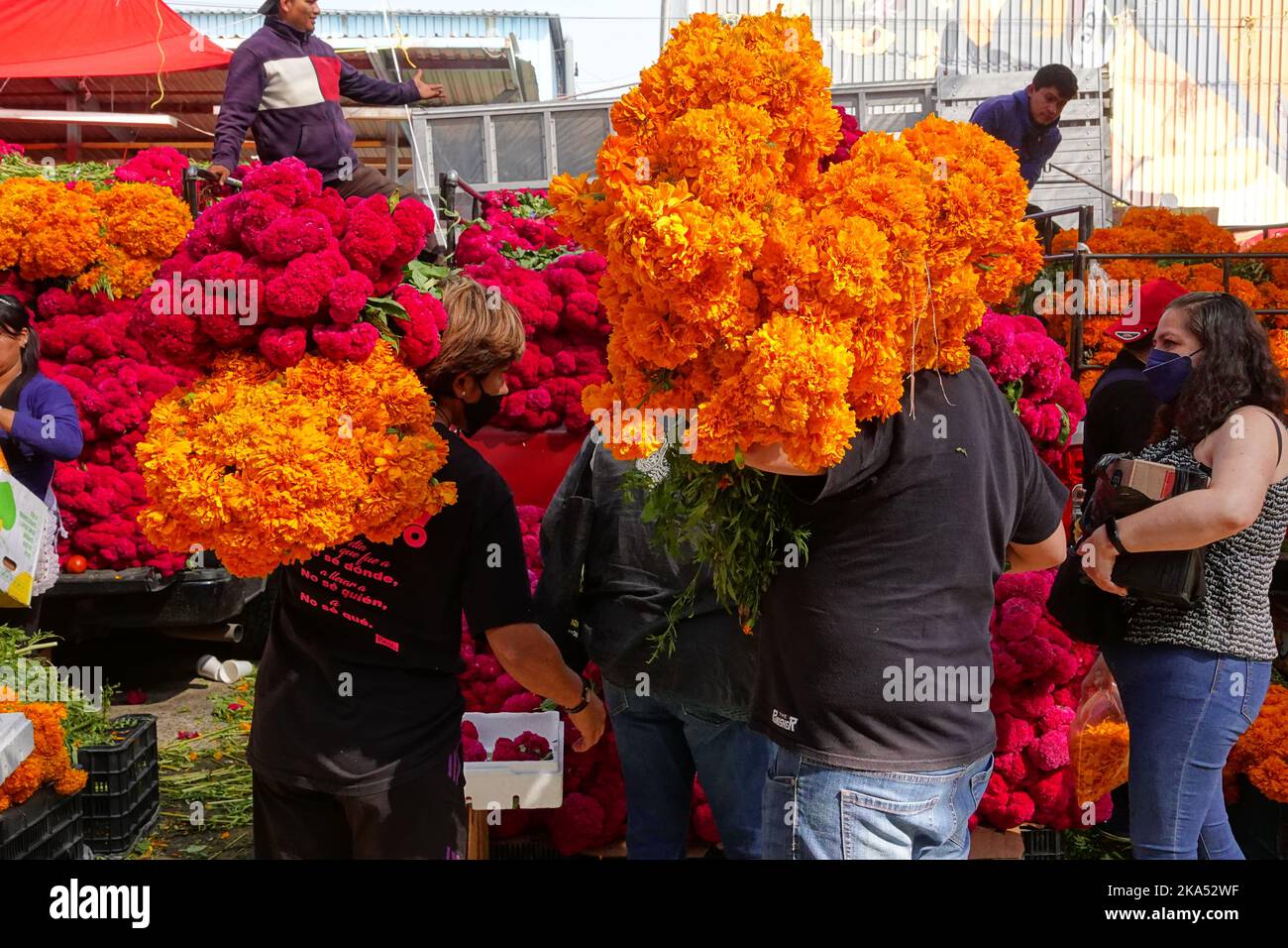 Mexico, Mexique. 31st octobre 2022. Les clients portent leurs paquets de Cockscomb rouge et cempasuchil, le jour traditionnel des fleurs mortes utilisé pour décorer les autels et les tombes pendant le festival annuel au marché aux fleurs de la Jamaïque, 31 octobre 2022 à Mexico, Mexique. Crédit : Richard Ellis/Richard Ellis/Alay Live News Banque D'Images