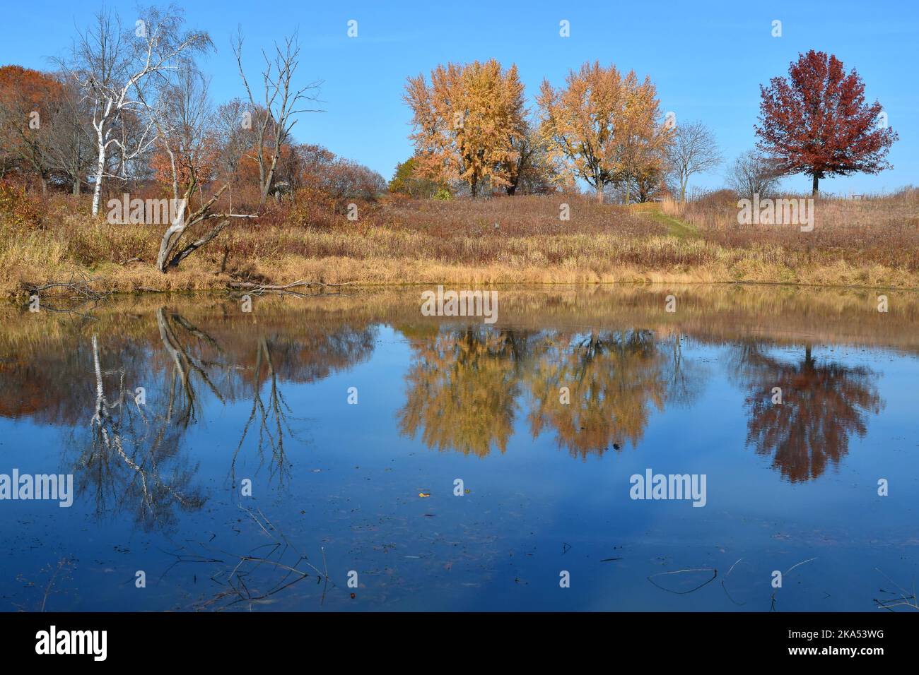 Couleurs d'automne dans le sud-ouest du Wisconsin Banque D'Images