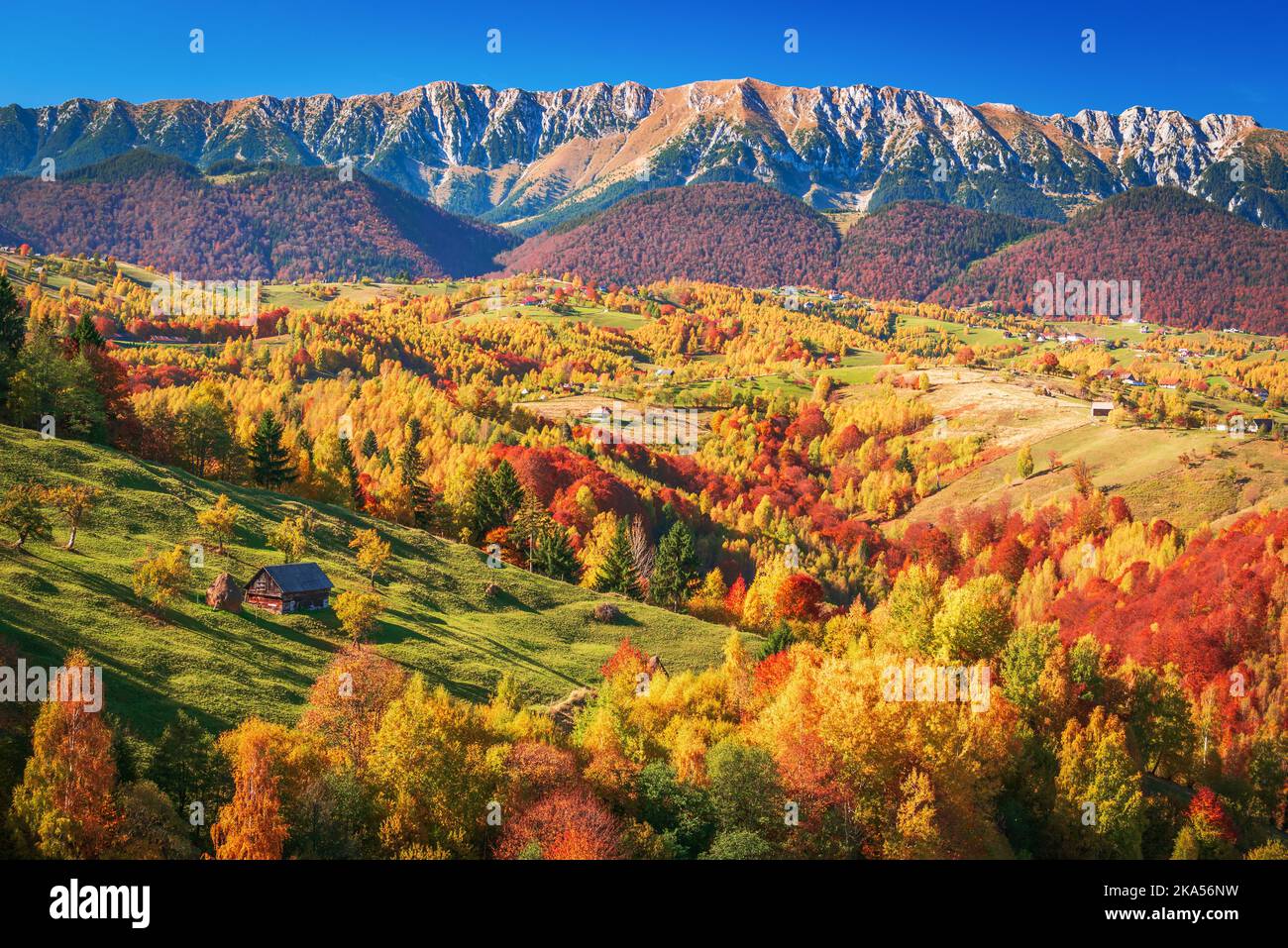 Piatra CRAiului, Carpathian Mountains - Roumanie. Belle automne couleurs paysage pittoresque dans Rucar-Bran site touristique roumain. Banque D'Images