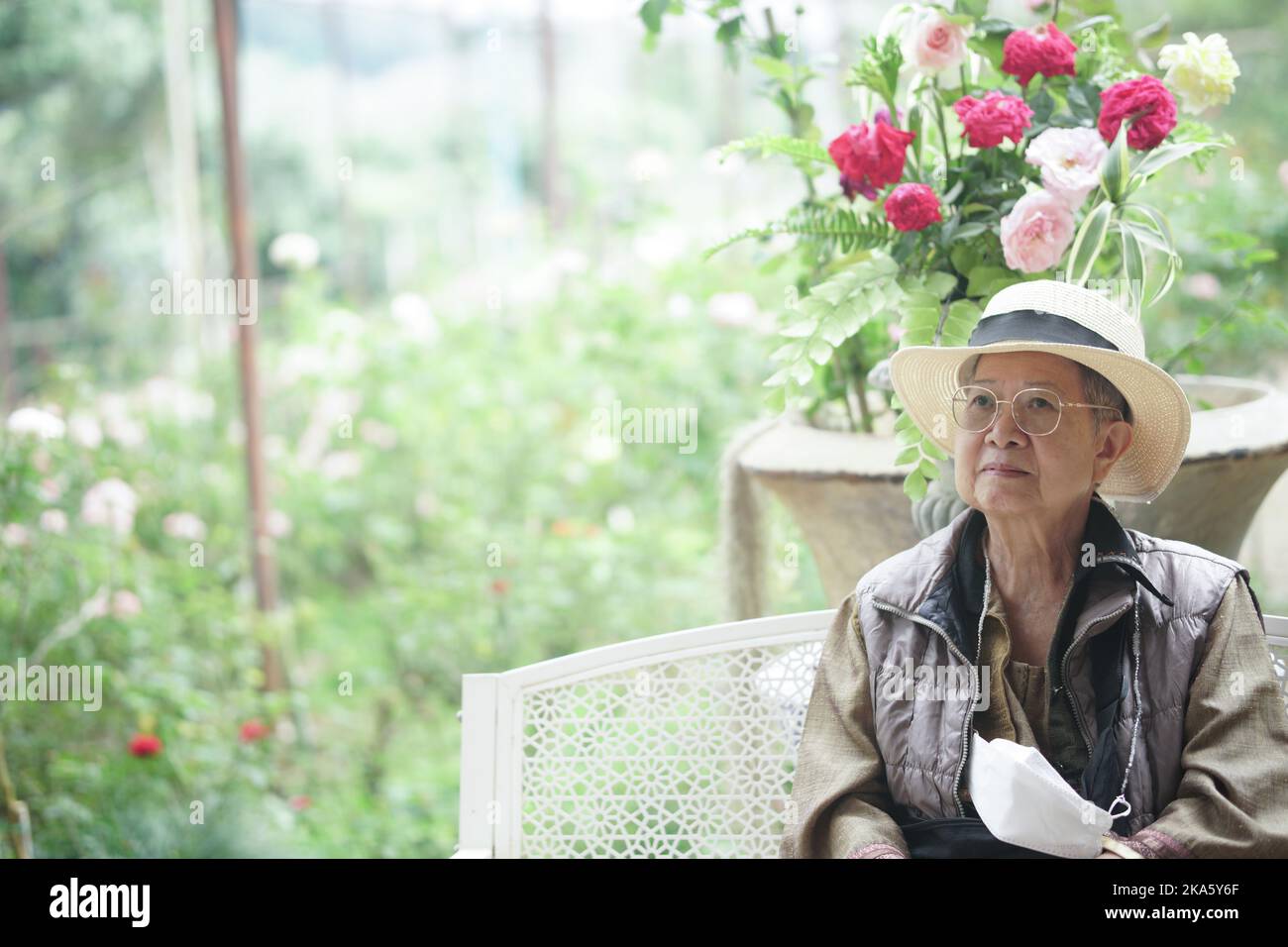 vieille femme âgée sénior sénior se reposant dans un jardin de fleurs roses Banque D'Images