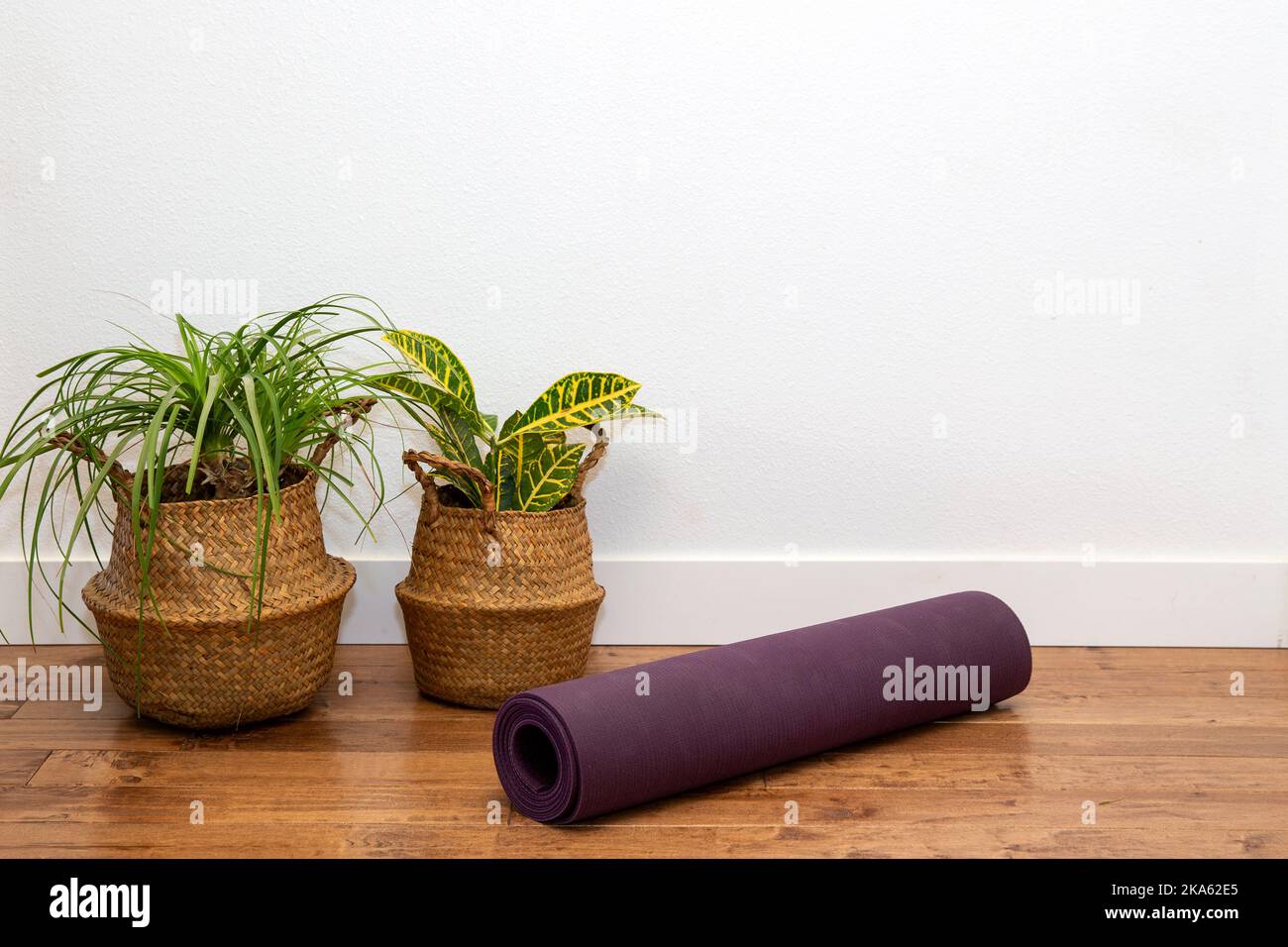 Palmier ponytail et plante Croton dans le panier avec tapis de yoga contre le mur blanc Banque D'Images