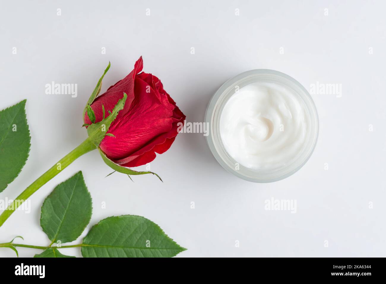 ouvrez le bol en verre avec une rame à côté de la rose rouge en fleurs. Soin de la peau anti-âge. Cosmétiques antirides. Vue de dessus avec espace de copie Banque D'Images