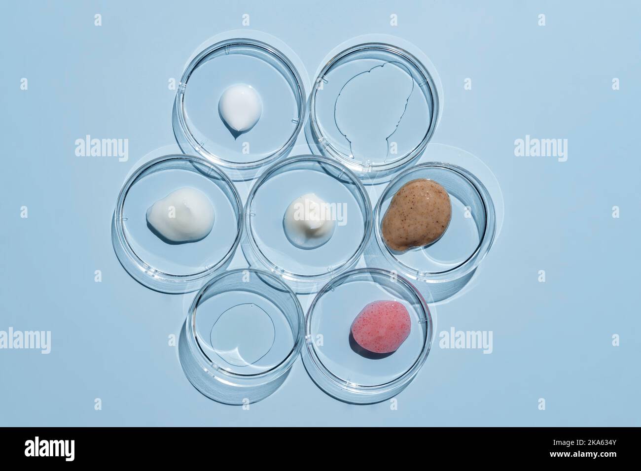 Boîtes de Petri avec taches et gouttes cosmétiques sur fond bleu. Concept des sciences de laboratoire. Banque D'Images