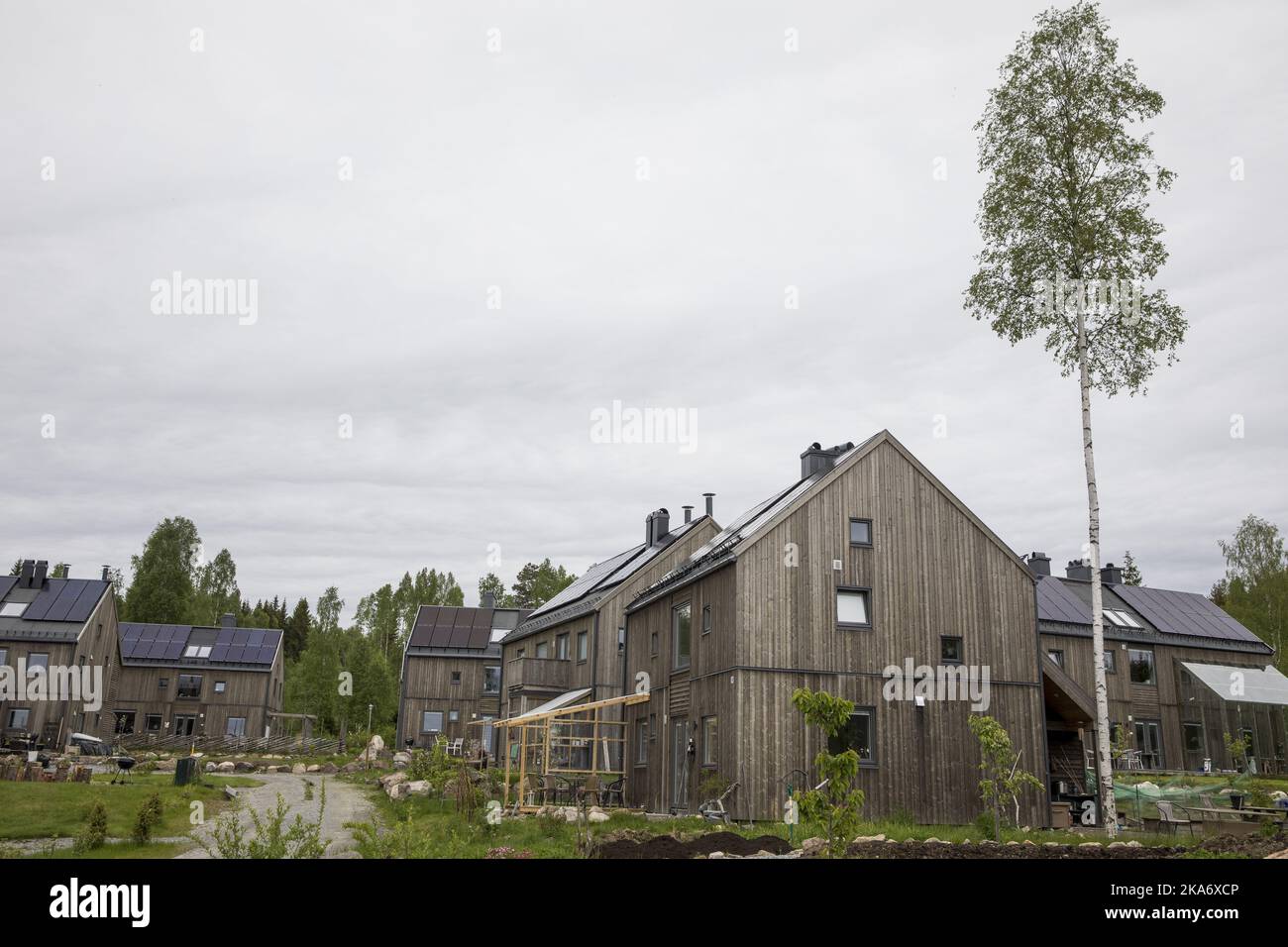 Hurdal, Norvège 20170602. L'écovillage à Hurdal doit être élargi. Les 70 premières unités sont vendues et au cours des prochaines années, il y aura 130 unités supplémentaires. Les maisons sont presque exclusivement construites en bois et en matériaux naturels et ont des panneaux solaires sur le toit pour être autant automoteurs par l'électricité. Photo: Tore Meek / NTB scanpix Banque D'Images