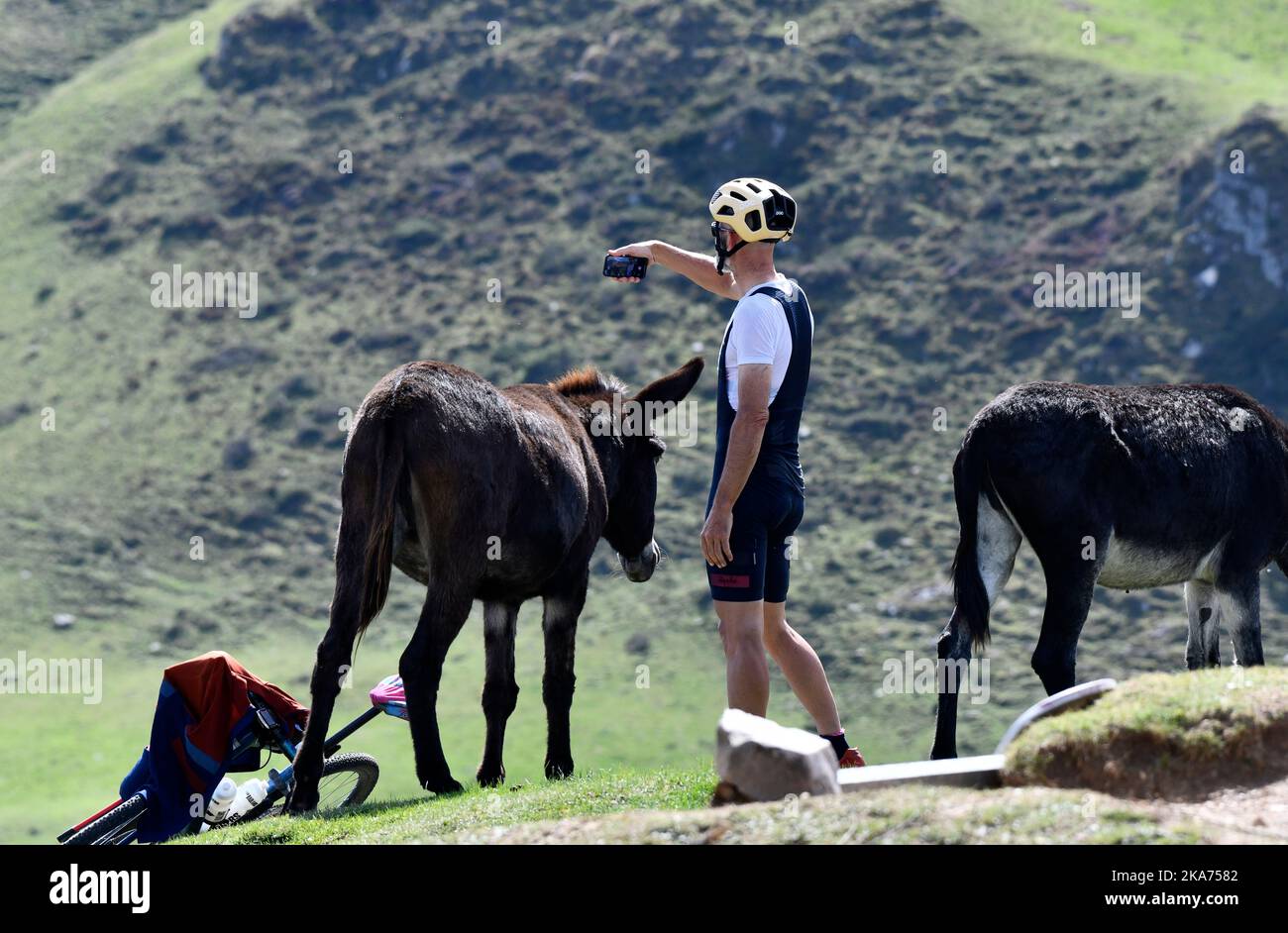Cycliste prenant une photo de selfie avec un âne semi-sauvage sur le col du Soulor dans les pyrénées, en bordure de la France et de l'Espagne Banque D'Images