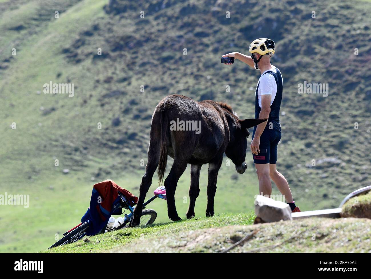 Cycliste prenant une photo de selfie avec un âne semi-sauvage sur le col du Soulor dans les pyrénées, en bordure de la France et de l'Espagne Banque D'Images