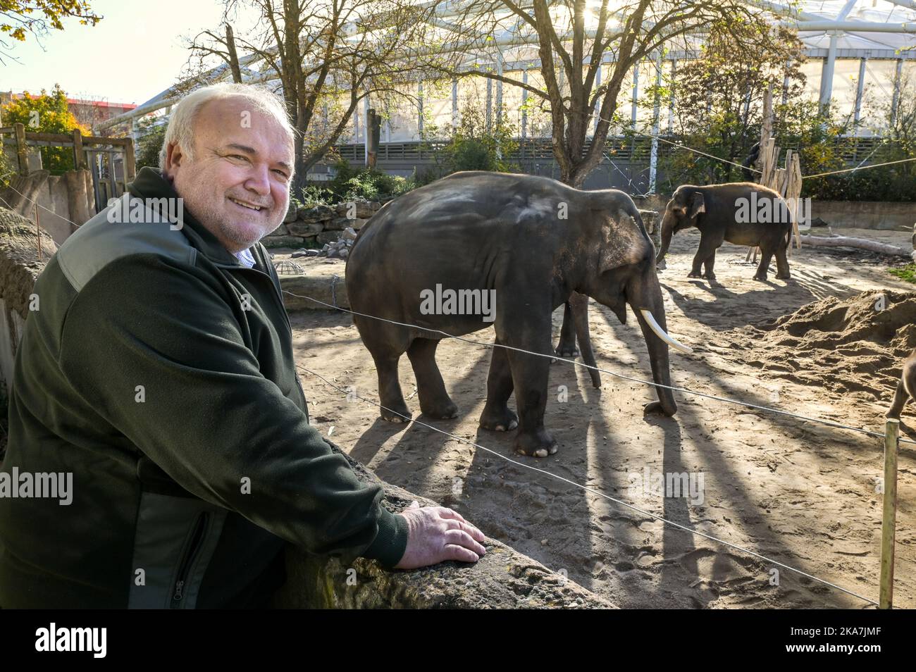 Leipzig, Allemagne. 30th octobre 2022. Jörg Junhold, directeur du zoo de Leipzig, se tient à l'enceinte des éléphants d'Asie. Il est en fonction depuis exactement 25 ans. "Cela a été satisfaisant, si ce n'est les 25 meilleures années de ma vie", a déclaré l'homme de 58 ans à la Deutsche presse-Agentur à Leipzig. Credit: Heiko Rebsch/dpa/Alay Live News Banque D'Images