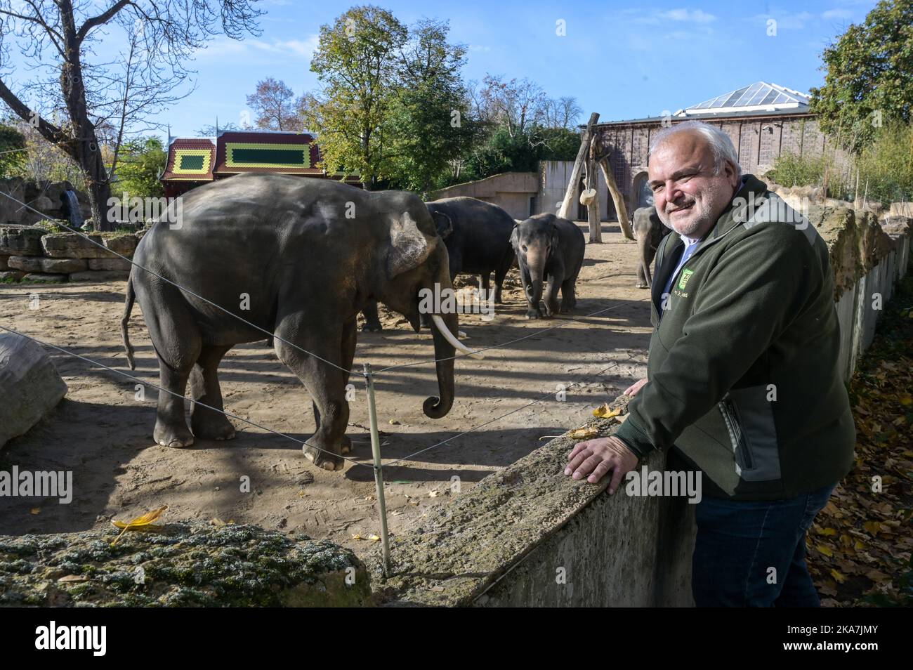 Leipzig, Allemagne. 30th octobre 2022. Jörg Junhold, directeur du zoo de Leipzig, se tient à l'enceinte des éléphants d'Asie. Il est en fonction depuis exactement 25 ans. "Cela a été satisfaisant, si ce n'est les 25 meilleures années de ma vie", a déclaré l'homme de 58 ans à la Deutsche presse-Agentur à Leipzig. Credit: Heiko Rebsch/dpa/Alay Live News Banque D'Images