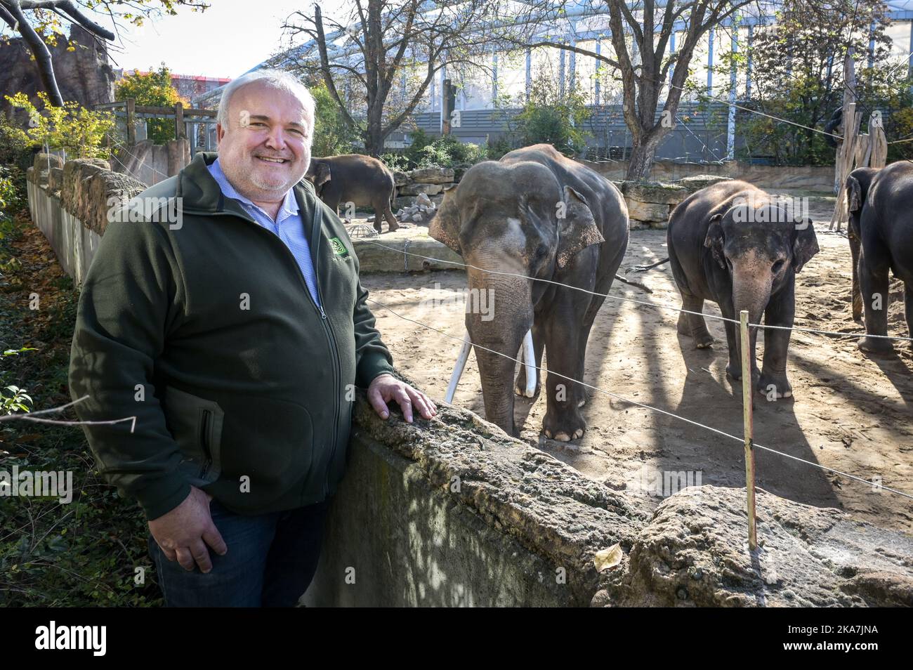 Leipzig, Allemagne. 30th octobre 2022. Jörg Junhold, directeur du zoo de Leipzig, se tient à l'enceinte des éléphants d'Asie. Il est en fonction depuis exactement 25 ans. "Cela a été satisfaisant, si ce n'est les 25 meilleures années de ma vie", a déclaré l'homme de 58 ans à la Deutsche presse-Agentur à Leipzig. Credit: Heiko Rebsch/dpa/Alay Live News Banque D'Images