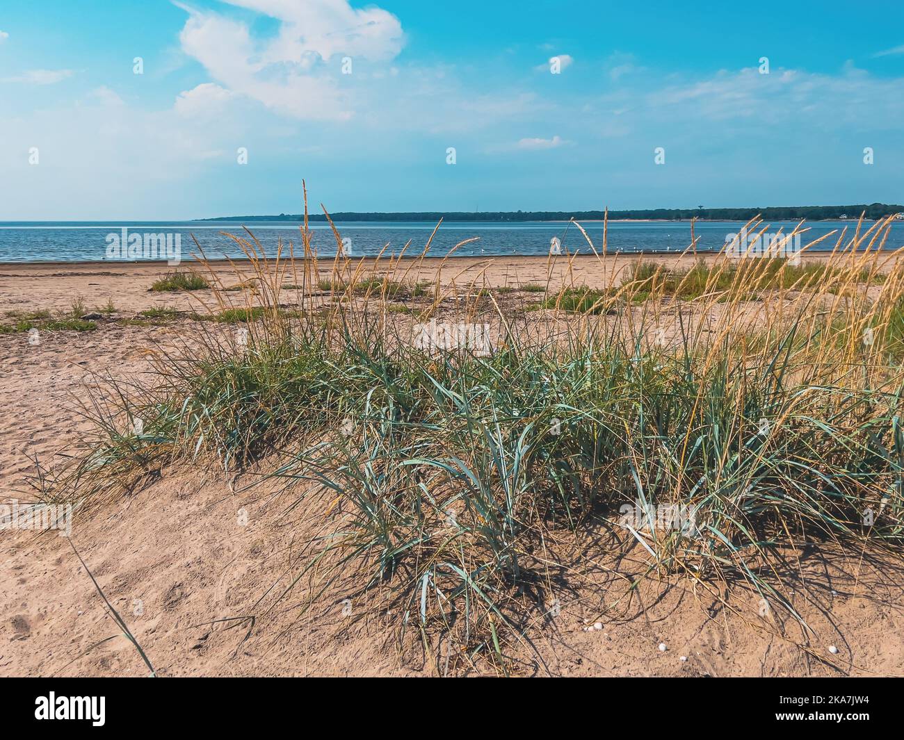 Vastra Stranden ou Western Beach dans la ville de Halmstad en Suède en été avec le détroit de Kattegat en arrière-plan Banque D'Images