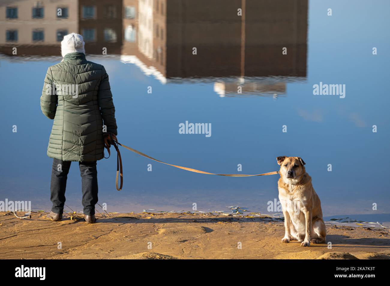 Novomoskovsk, Russie - 25 octobre 2022 : chien assis sur la plage à côté d'un homme. Homme marchant son chien au bord du lac. Banque D'Images