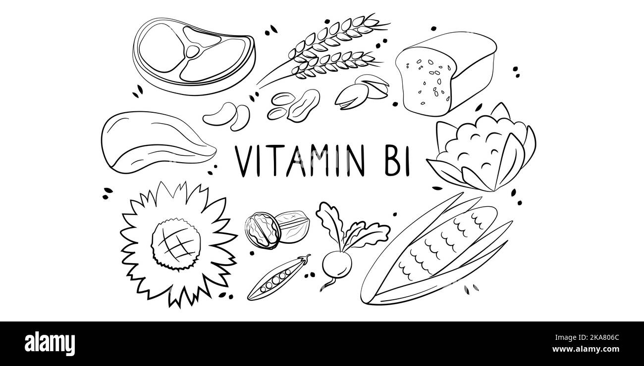 Vitamine B1 thiamine . Groupes de produits sains contenant des vitamines. Ensemble de fruits, légumes, viandes, poissons et produits laitiers. Illustration de Vecteur