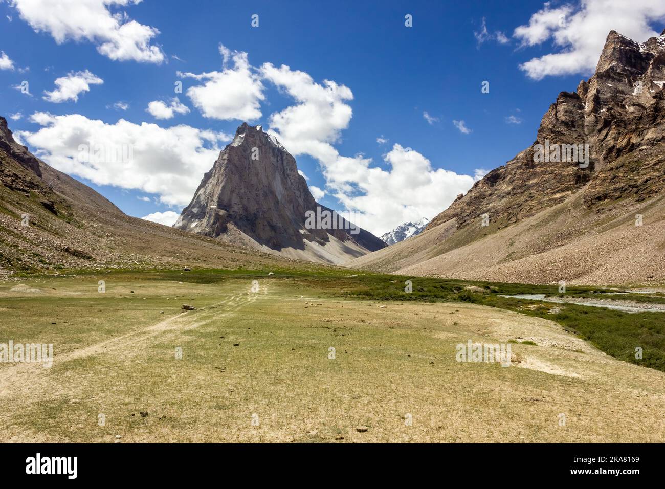 Un pré herbacé dans le village de Kargyak avec le sommet de montagne de granit du Mont Gumbok Rangjon sur la route de randonnée de Darcha Padum dans le Val de Zanskar Banque D'Images