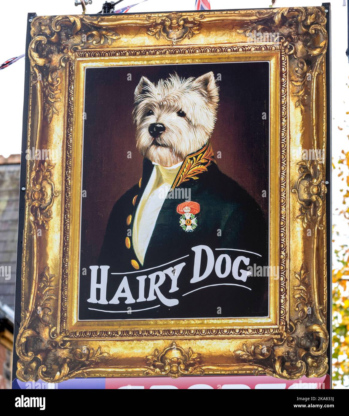 Panneau de pub suspendu traditionnel à la maison publique Hairy Dog, The Avenue, Minehead, North Devon, Devon, Angleterre, Royaume-Uni Banque D'Images