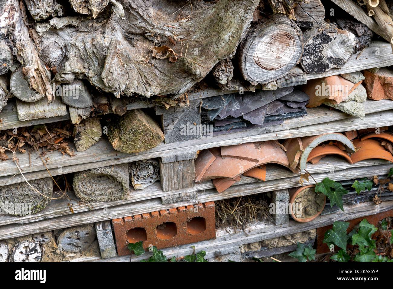 Vue rapprochée d'un hôtel d'insectes. Banque D'Images