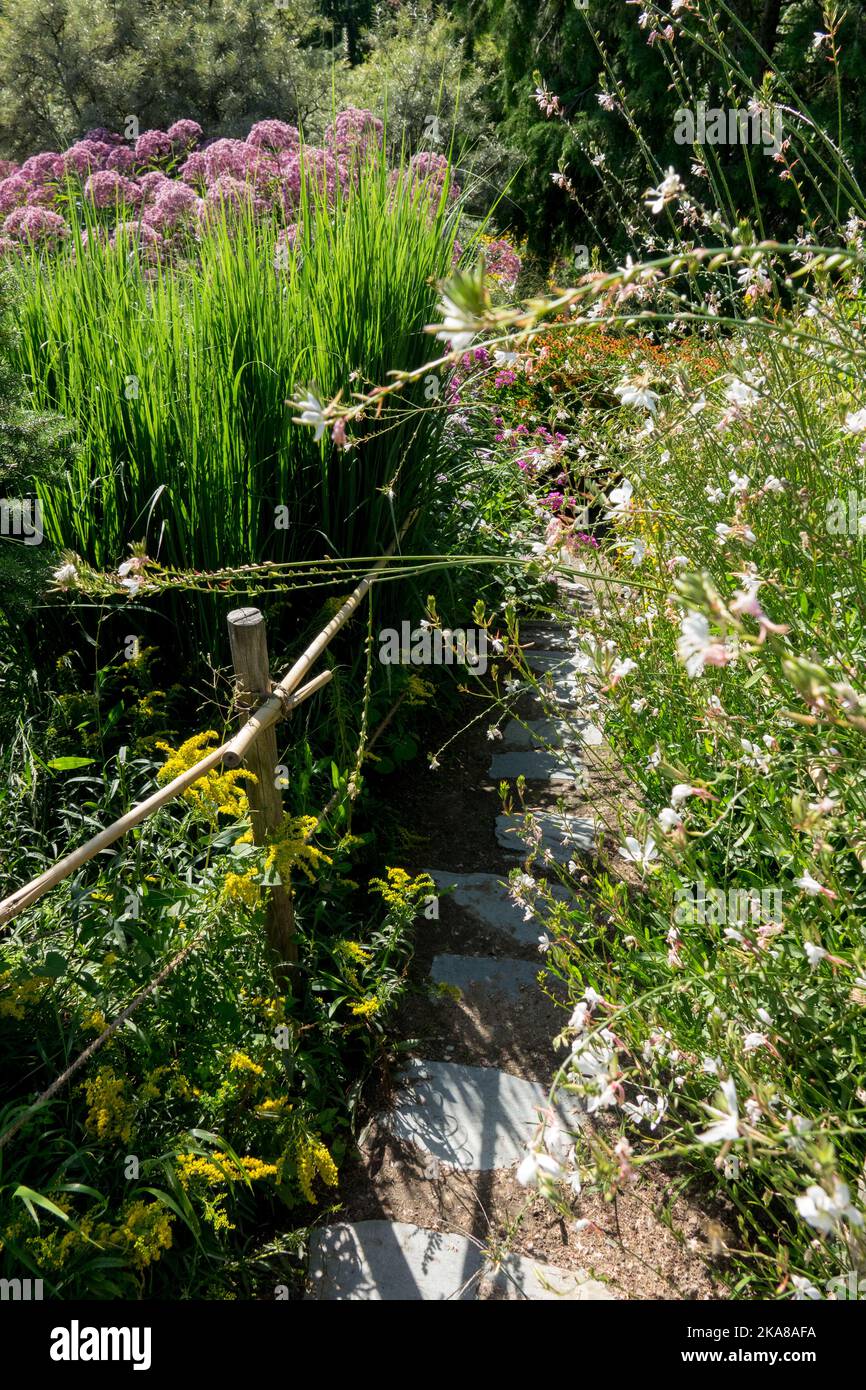 Une voie étroite dans le jardin entre les plantes vivaces matures en milieu d'été Banque D'Images